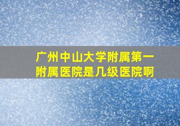 广州中山大学附属第一附属医院是几级医院啊