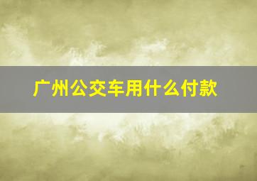 广州公交车用什么付款