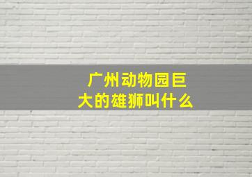 广州动物园巨大的雄狮叫什么