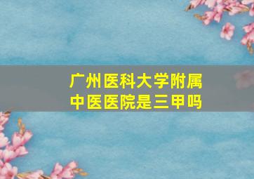 广州医科大学附属中医医院是三甲吗