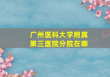 广州医科大学附属第三医院分院在哪