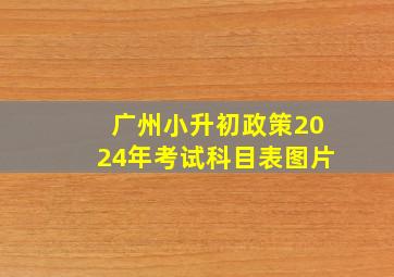 广州小升初政策2024年考试科目表图片