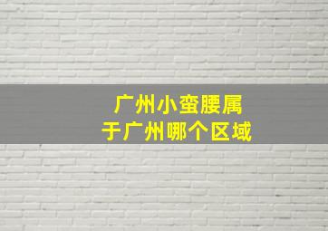 广州小蛮腰属于广州哪个区域