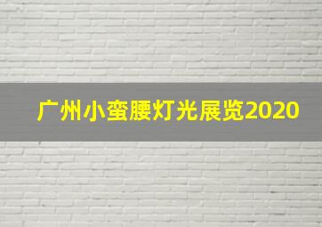 广州小蛮腰灯光展览2020