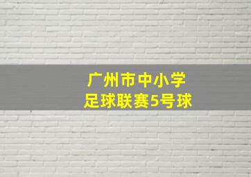 广州市中小学足球联赛5号球