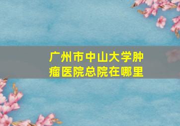 广州市中山大学肿瘤医院总院在哪里