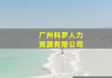 广州科罗人力资源有限公司