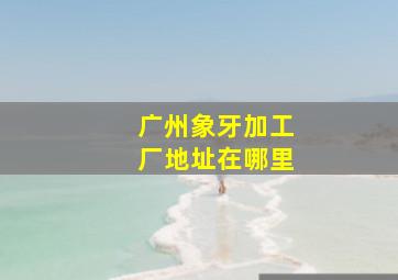 广州象牙加工厂地址在哪里