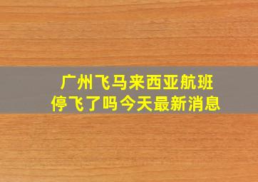 广州飞马来西亚航班停飞了吗今天最新消息