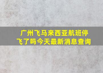 广州飞马来西亚航班停飞了吗今天最新消息查询