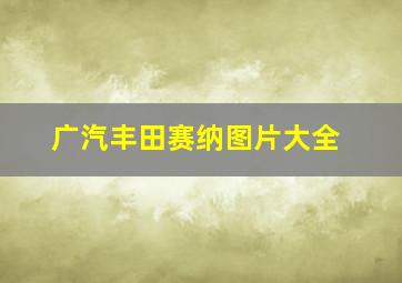 广汽丰田赛纳图片大全