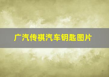 广汽传祺汽车钥匙图片