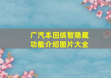 广汽本田缤智隐藏功能介绍图片大全