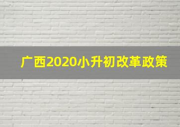 广西2020小升初改革政策