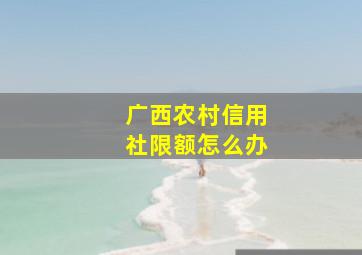 广西农村信用社限额怎么办