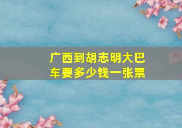 广西到胡志明大巴车要多少钱一张票