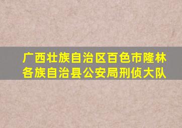 广西壮族自治区百色市隆林各族自治县公安局刑侦大队