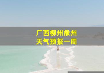 广西柳州象州天气预报一周