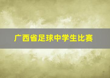 广西省足球中学生比赛