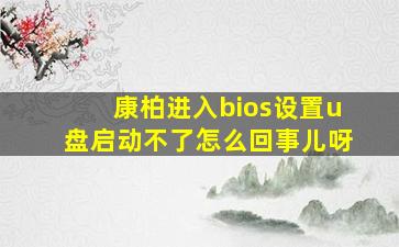 康柏进入bios设置u盘启动不了怎么回事儿呀