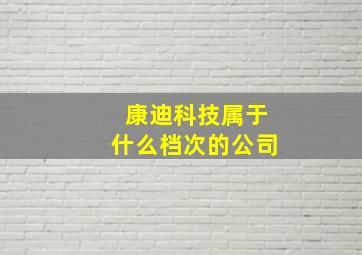 康迪科技属于什么档次的公司