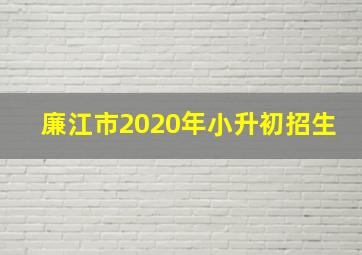 廉江市2020年小升初招生