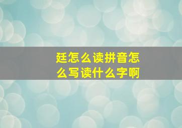 廷怎么读拼音怎么写读什么字啊