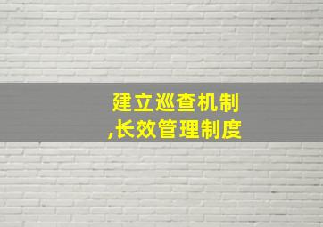 建立巡查机制,长效管理制度