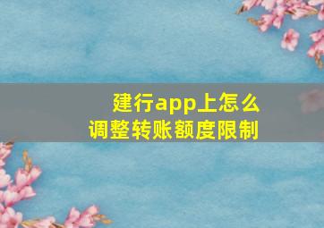 建行app上怎么调整转账额度限制