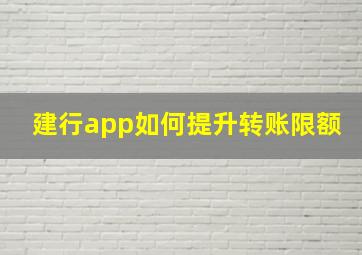 建行app如何提升转账限额