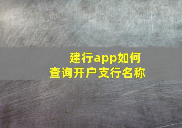 建行app如何查询开户支行名称