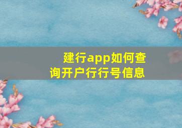 建行app如何查询开户行行号信息