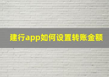 建行app如何设置转账金额