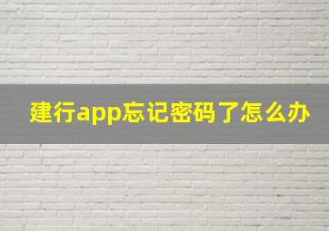 建行app忘记密码了怎么办