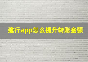 建行app怎么提升转账金额