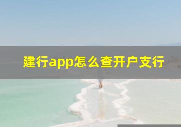 建行app怎么查开户支行