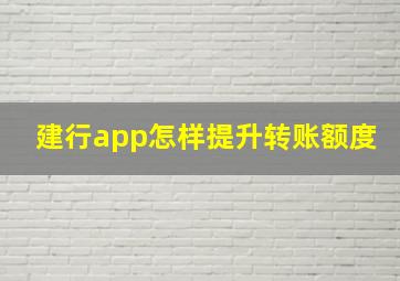 建行app怎样提升转账额度