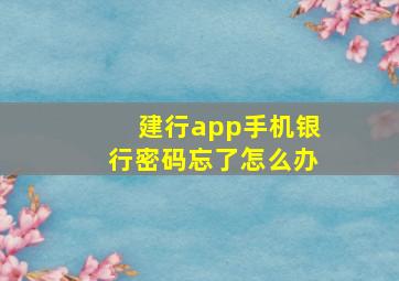 建行app手机银行密码忘了怎么办