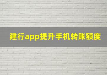 建行app提升手机转账额度