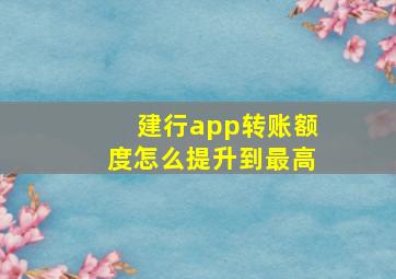 建行app转账额度怎么提升到最高