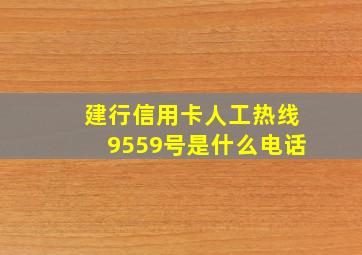 建行信用卡人工热线9559号是什么电话