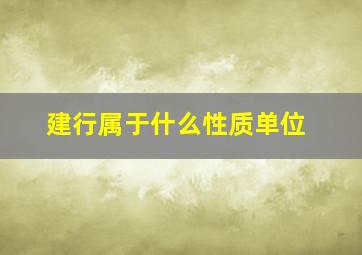 建行属于什么性质单位