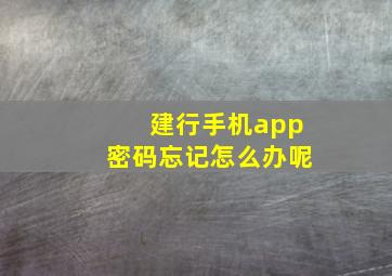 建行手机app密码忘记怎么办呢