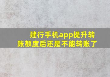 建行手机app提升转账额度后还是不能转账了