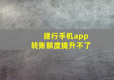 建行手机app转账额度提升不了