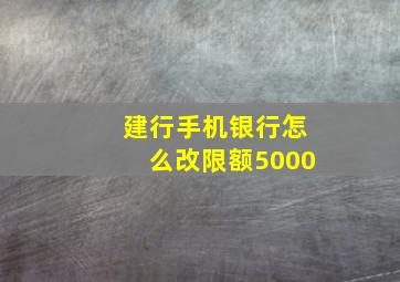 建行手机银行怎么改限额5000