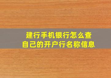 建行手机银行怎么查自己的开户行名称信息