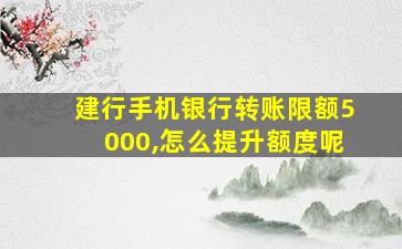 建行手机银行转账限额5000,怎么提升额度呢