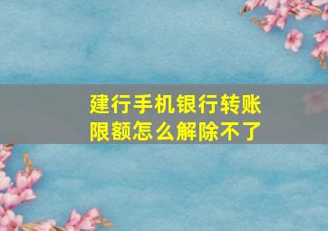 建行手机银行转账限额怎么解除不了