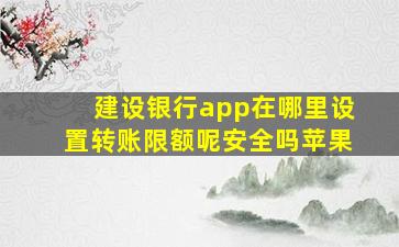 建设银行app在哪里设置转账限额呢安全吗苹果